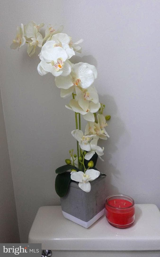 8307 Satinleaf Court photo 22
