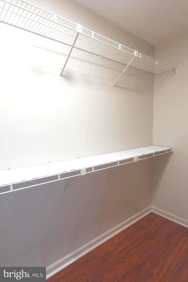 8307 Satinleaf Court photo 33