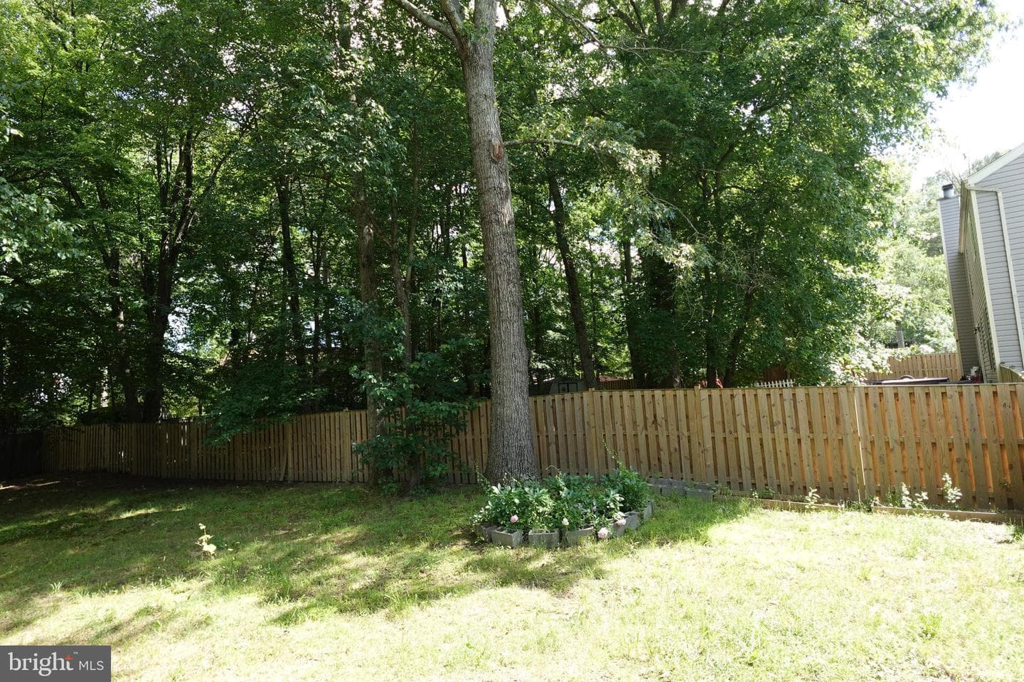 8307 Satinleaf Court photo 48