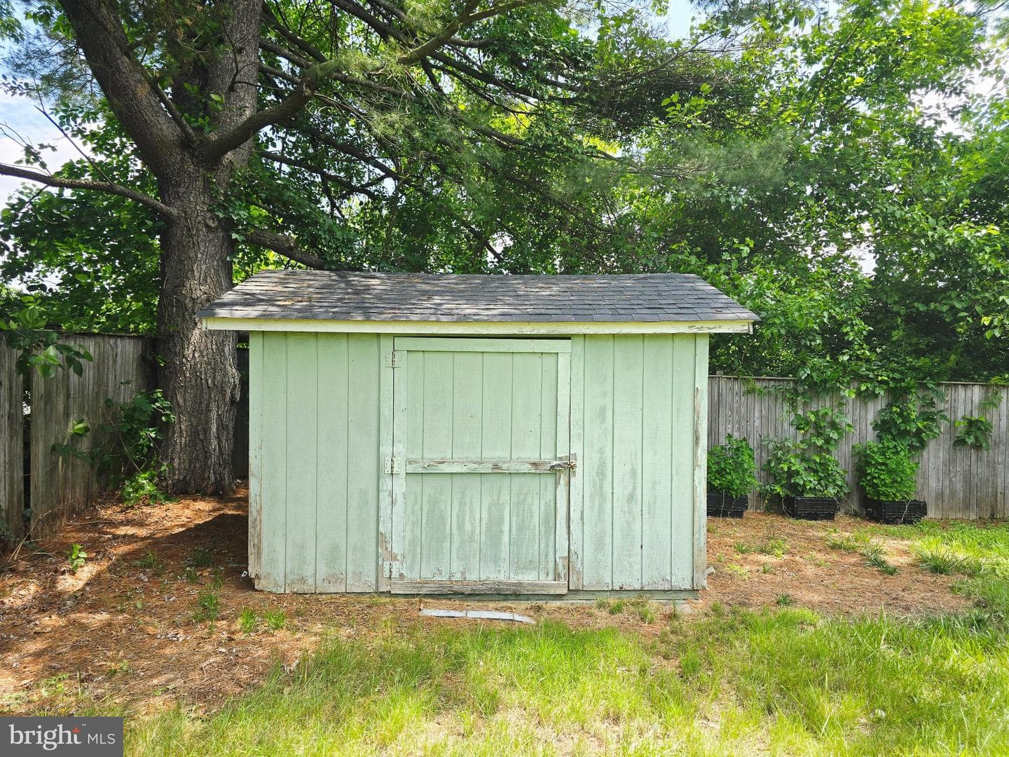 4025 Chelmont Lane photo 62