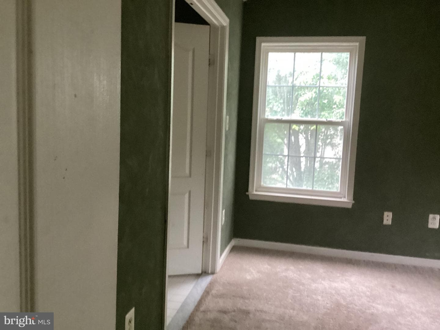 8207 Rison Drive photo 31