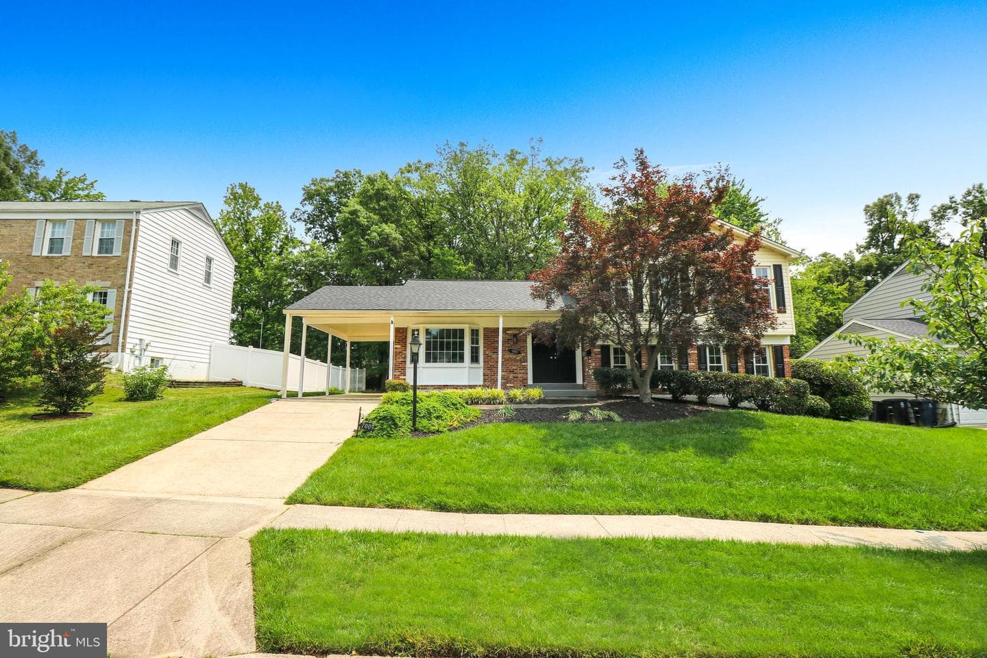 7009 Wood Thrush Drive photo 3