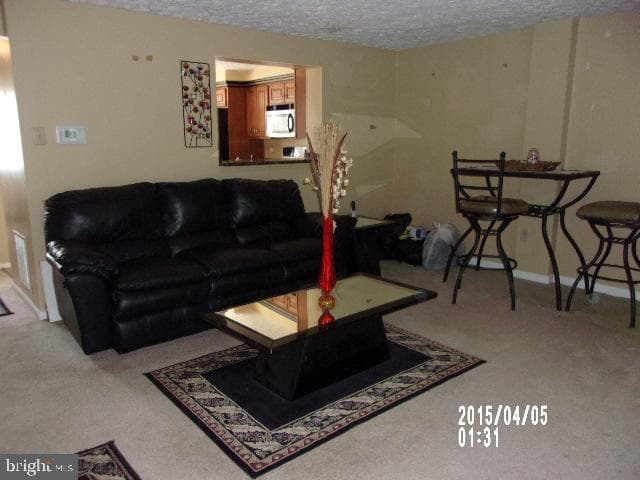 11440 Red Jade Court #6-3 photo 11