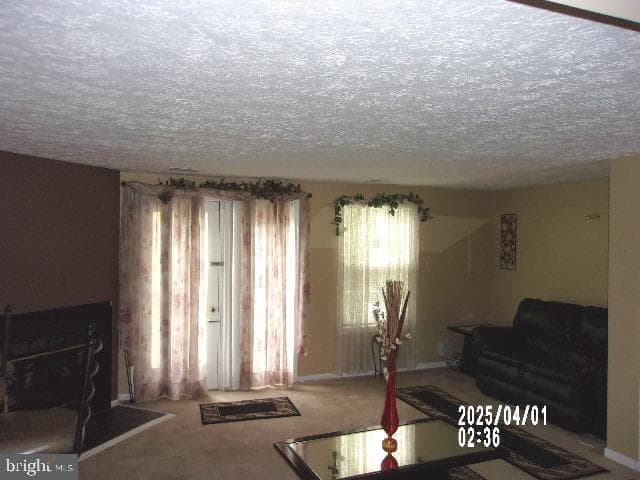 11440 Red Jade Court #6-3 photo 13