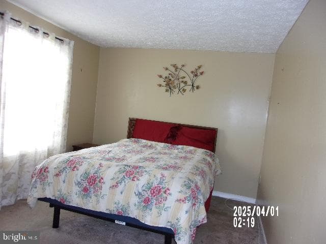 11440 Red Jade Court #6-3 photo 18
