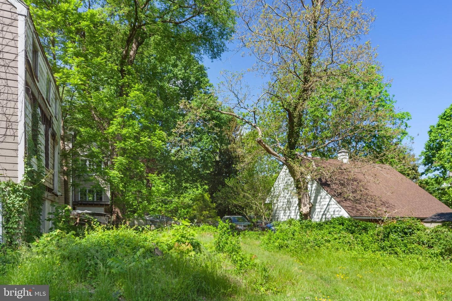 14504 Elm Street photo 20