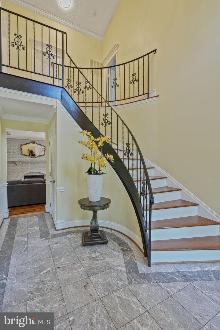 11806 Kimberly Woods Lane photo 16