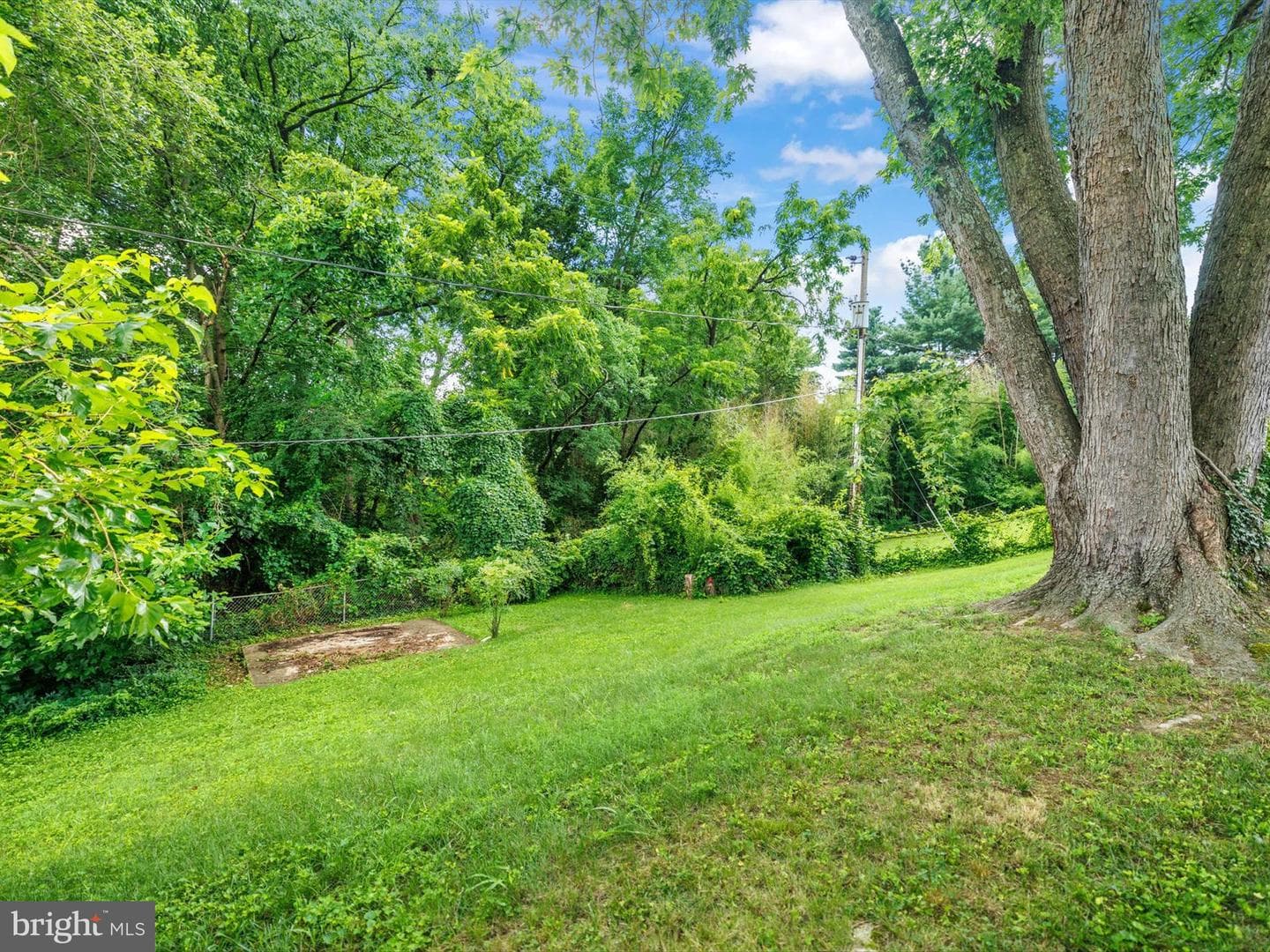 2207 Harwood Lane photo 46