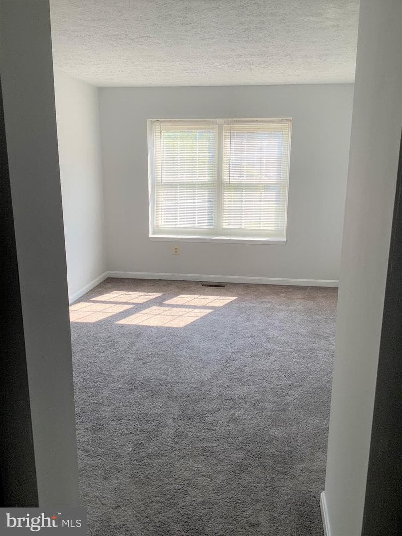 10713 Joyceton Drive photo 20