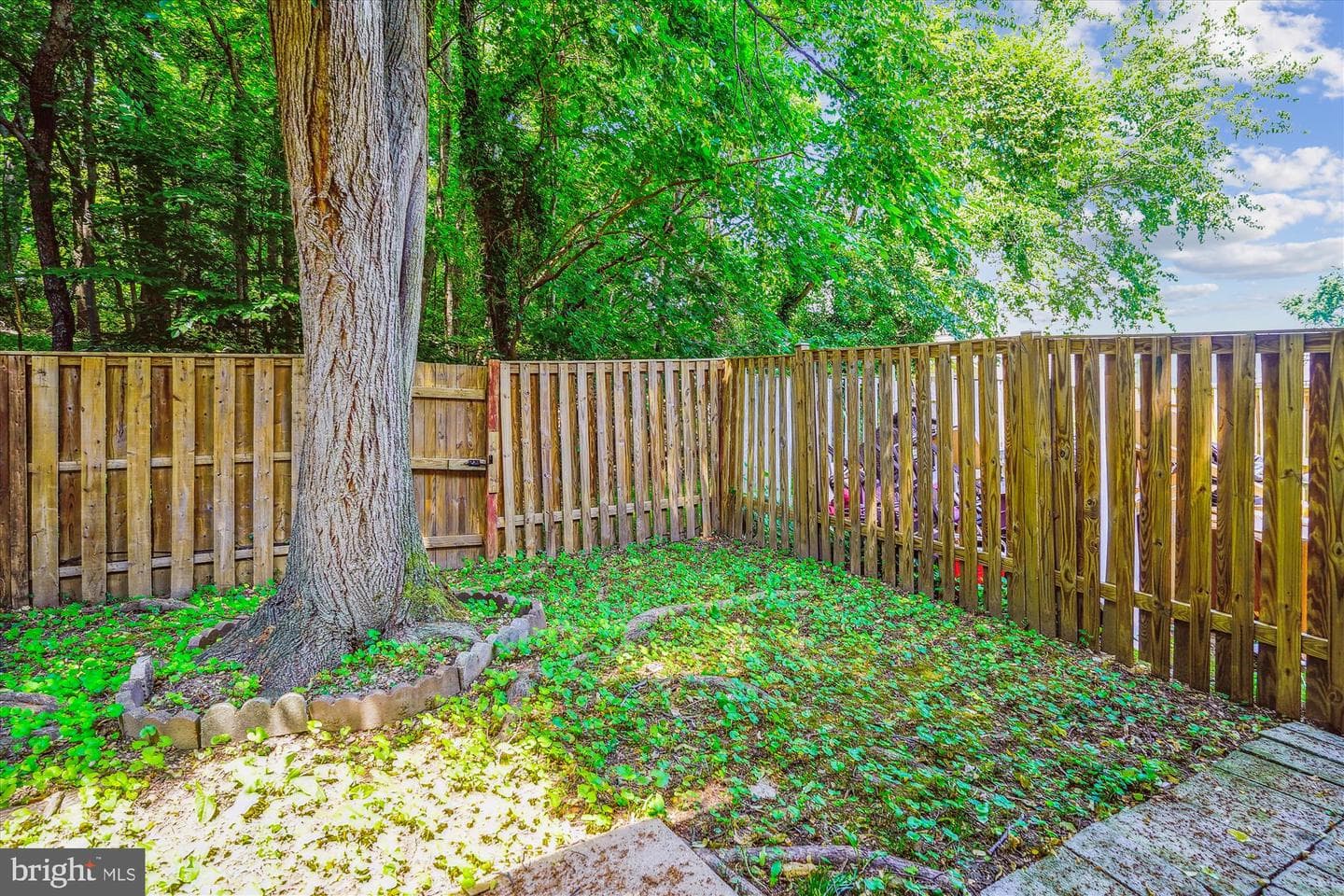 2376 Anvil Lane photo 27