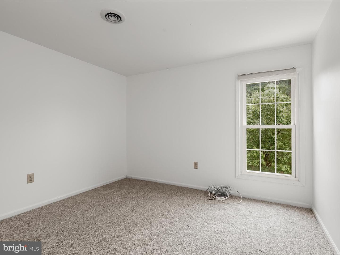 10316 Balsamwood Court photo 28