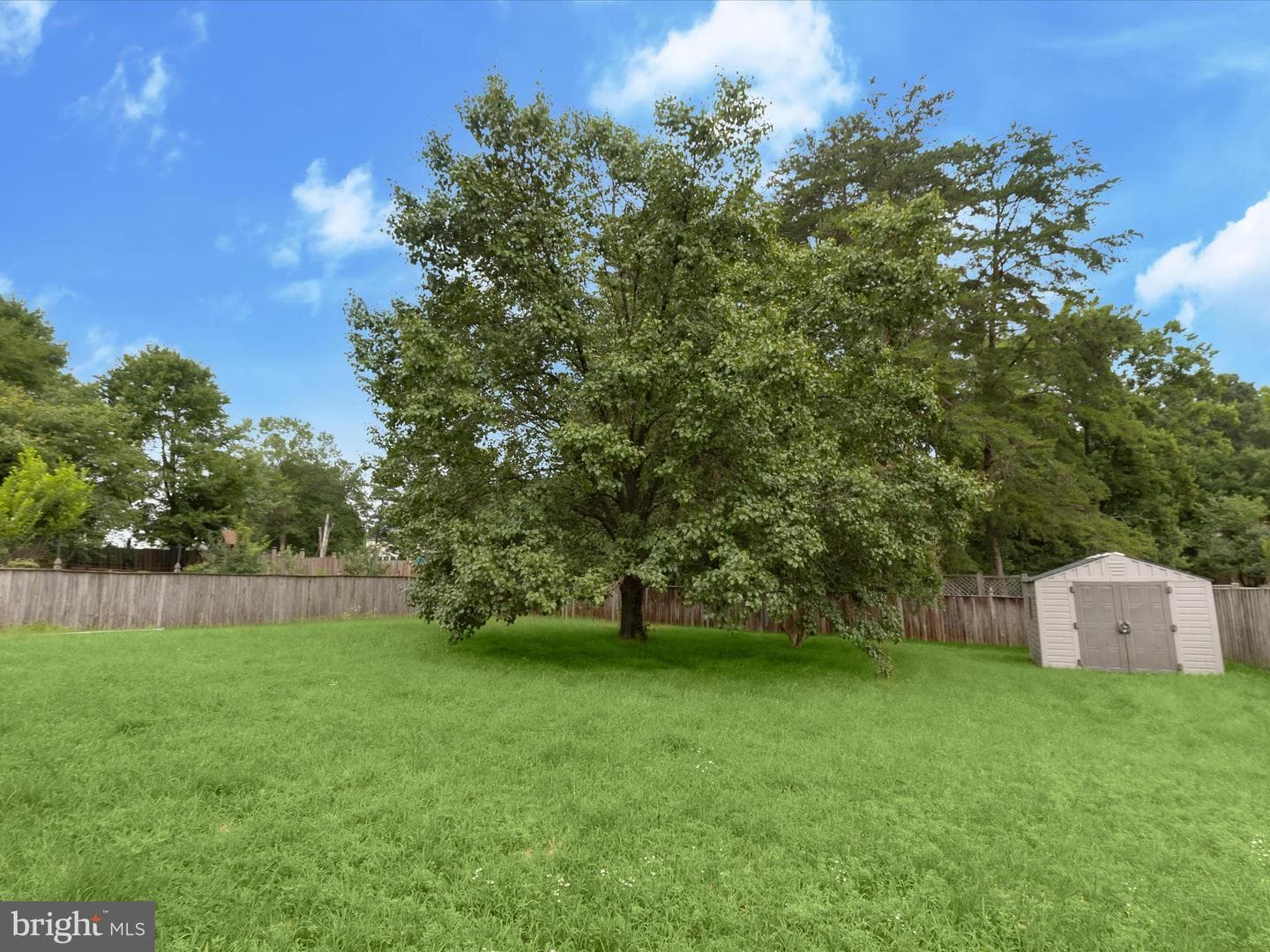10316 Balsamwood Court photo 45