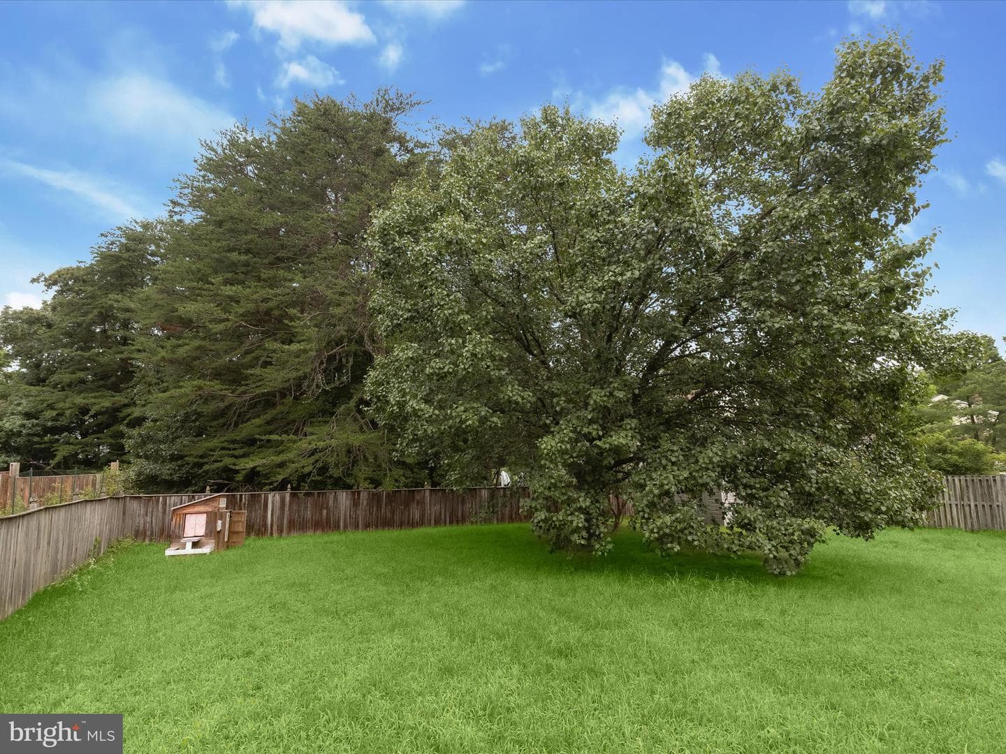 10316 Balsamwood Court photo 46