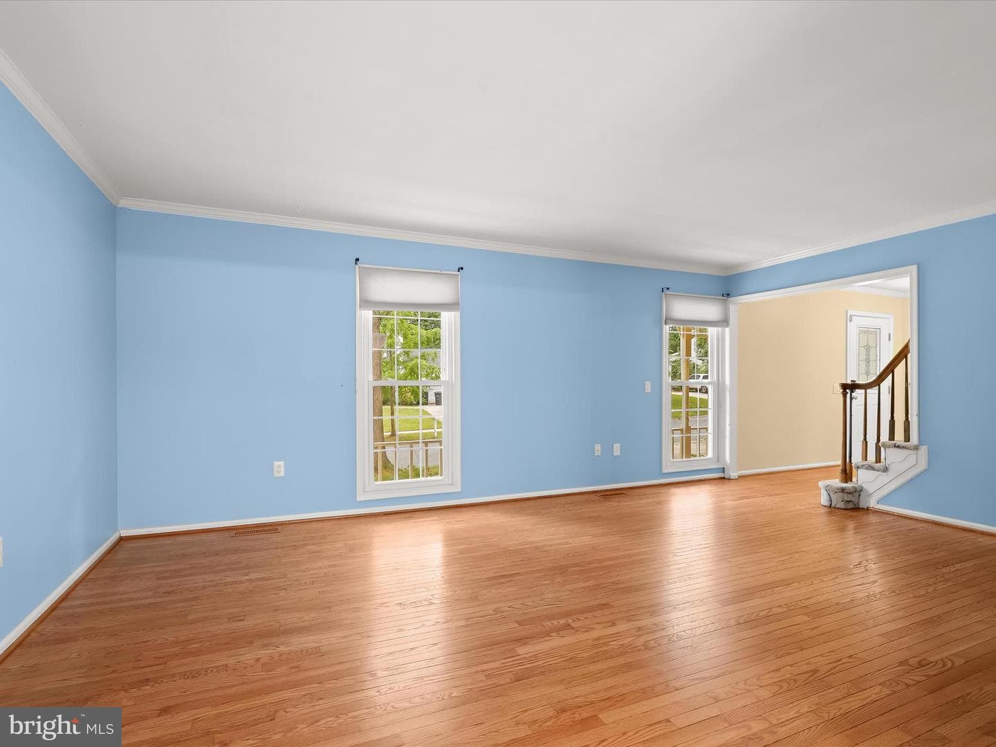 10316 Balsamwood Court photo 8