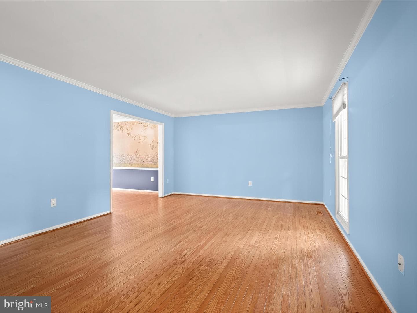 10316 Balsamwood Court photo 9