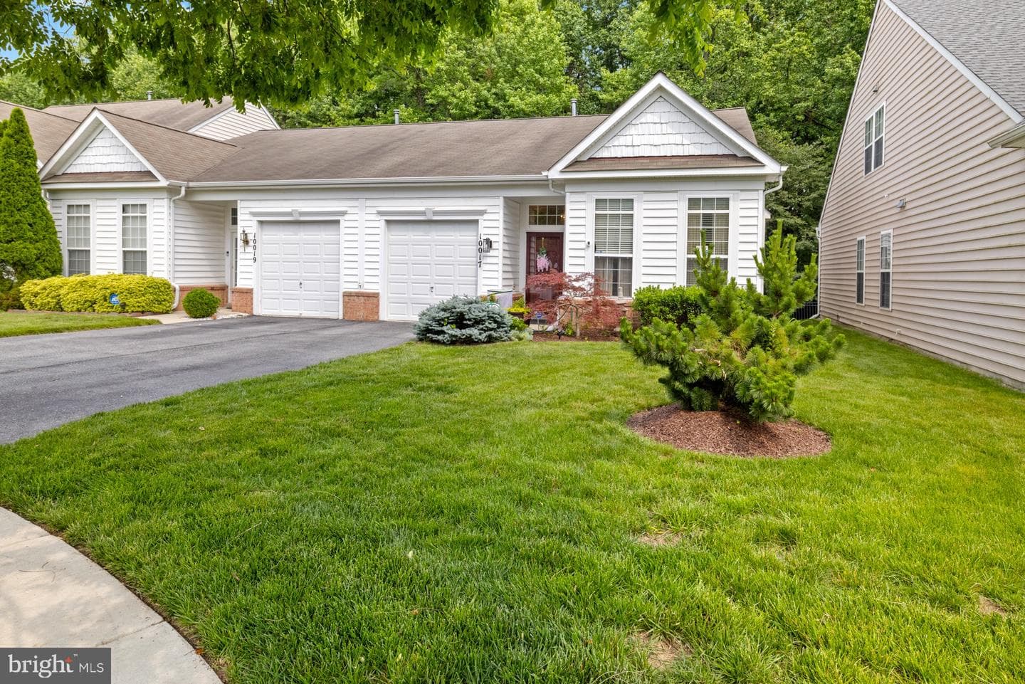 10017 Timberwood Court photo 3