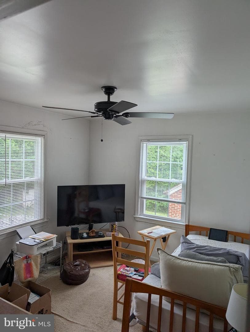 4120 Clark Street photo 5