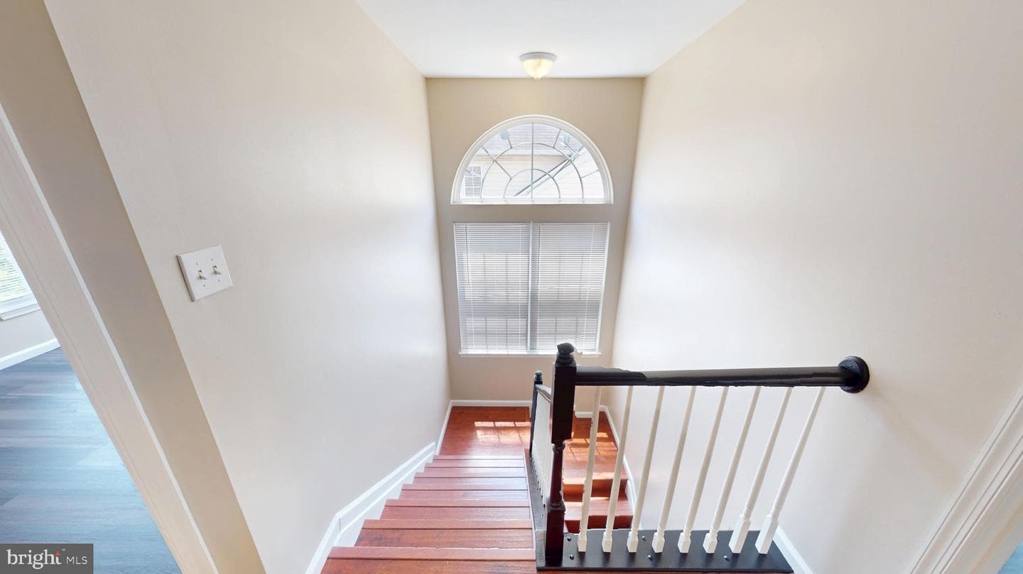8117 Grayden Lane photo 48