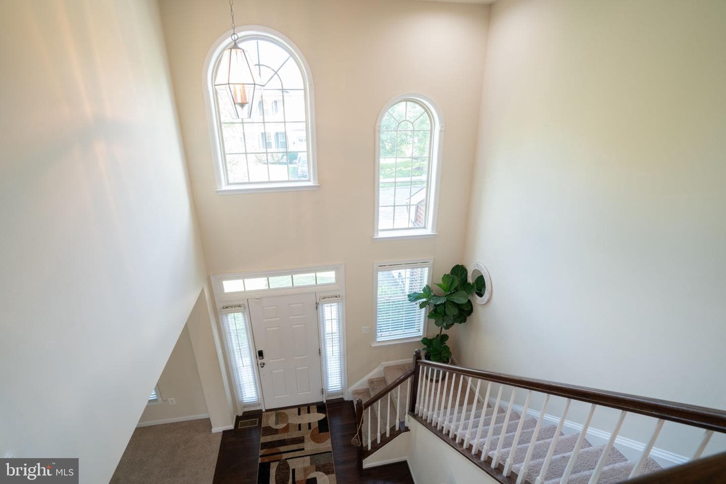 9204 Eason Street photo 11