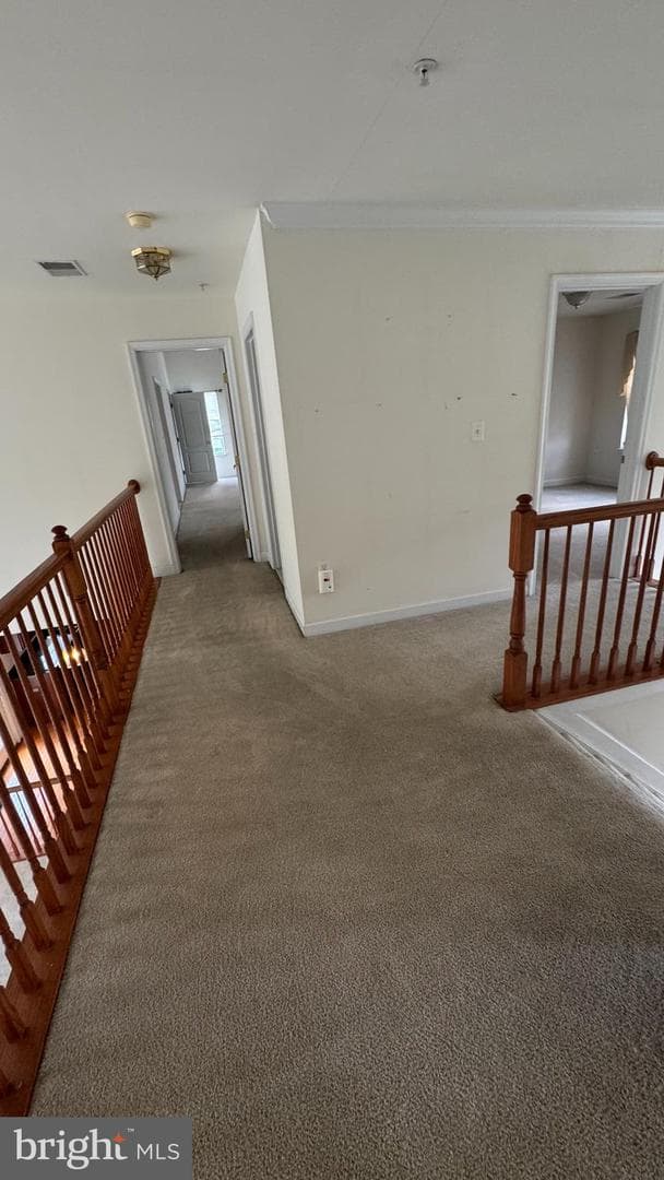 10005 Erion Court photo 11