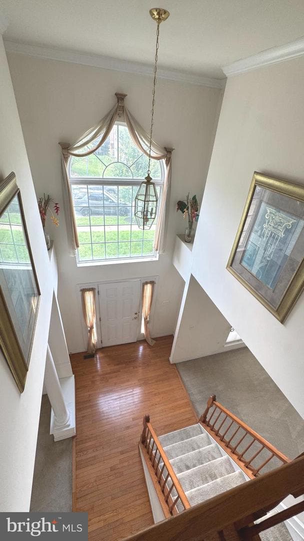 10005 Erion Court photo 13