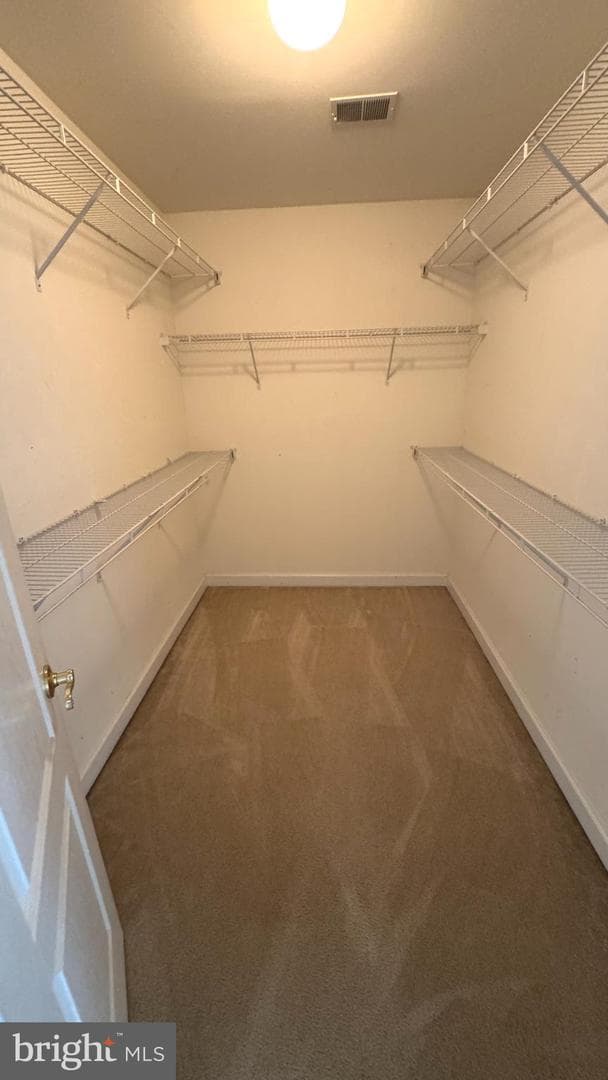 10005 Erion Court photo 15