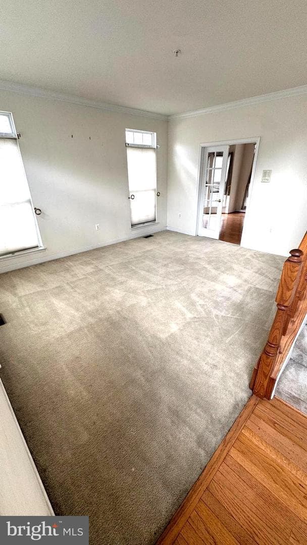 10005 Erion Court photo 4