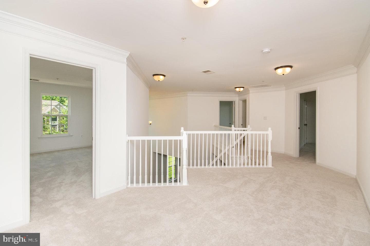 13006 Arya Drive photo 23