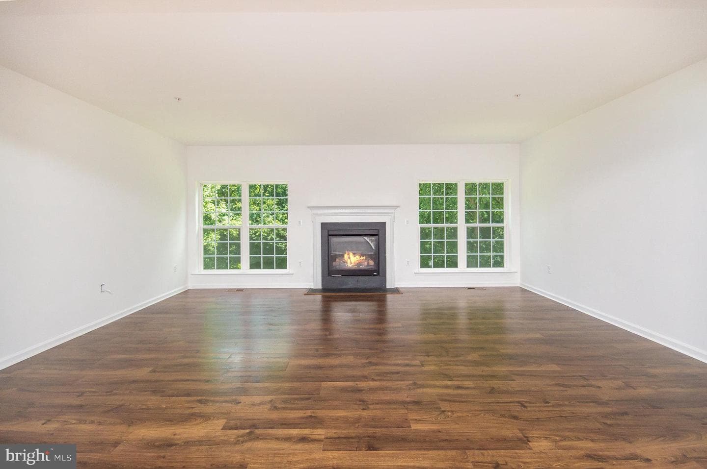 13006 Arya Drive photo 4