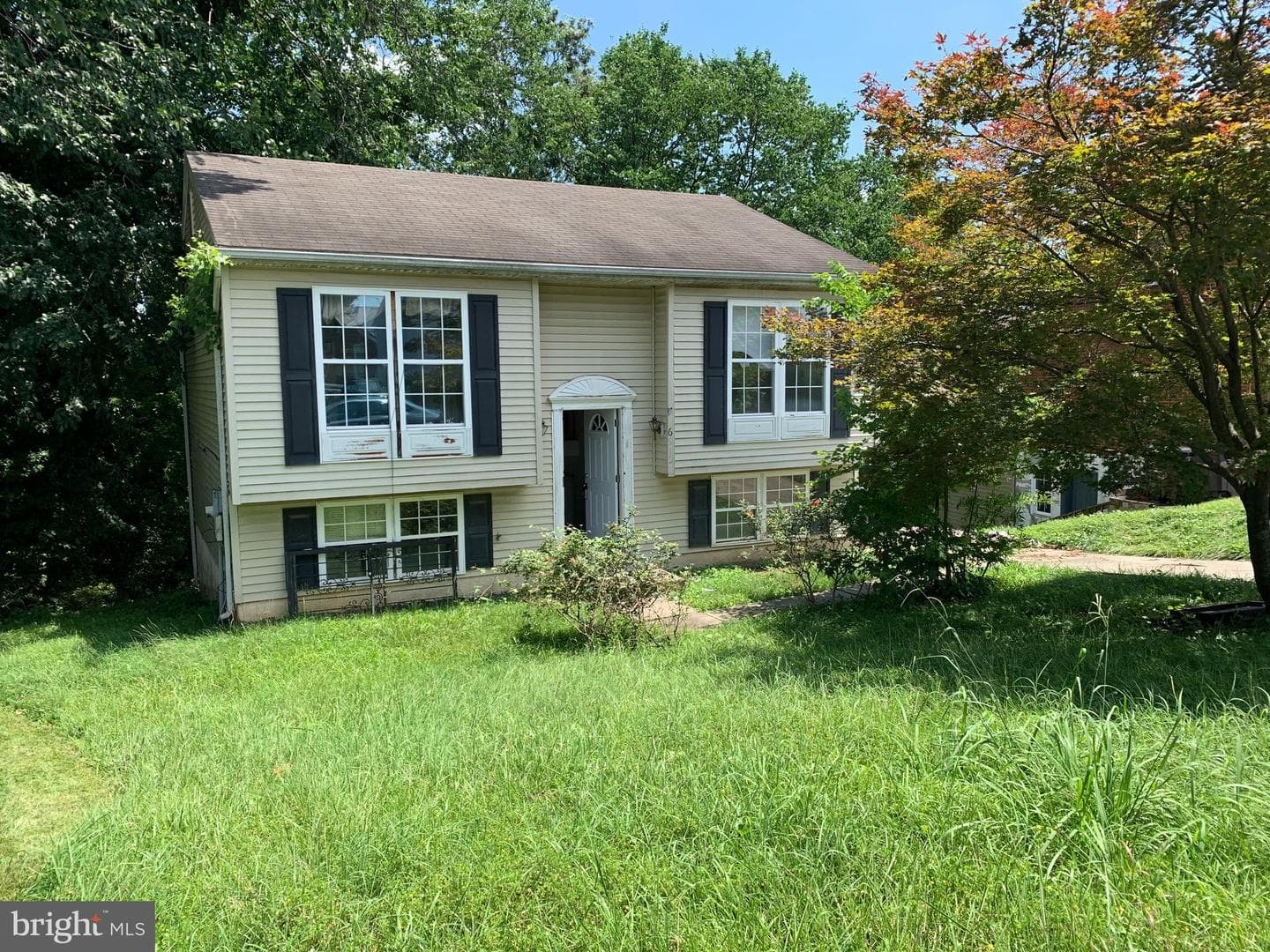 6915 Adel Street photo 1