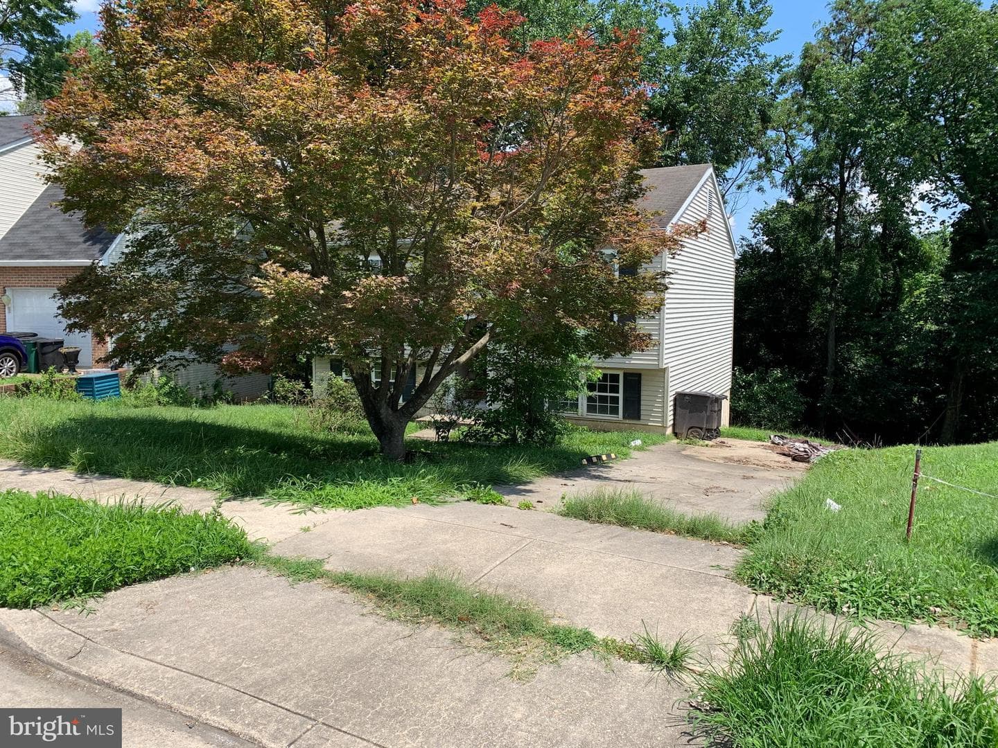 6915 Adel Street photo 2