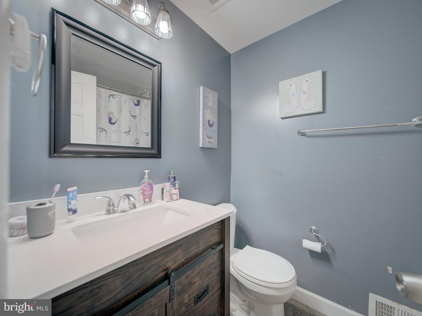 8610 Monmouth Drive photo 48