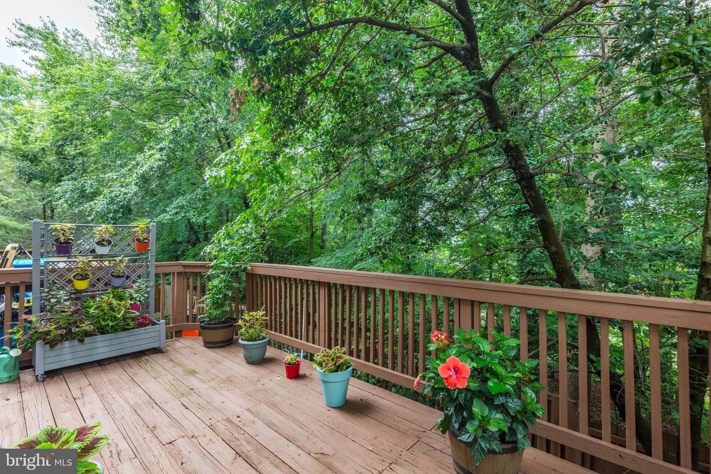 14523 Cambridge Circle photo 13