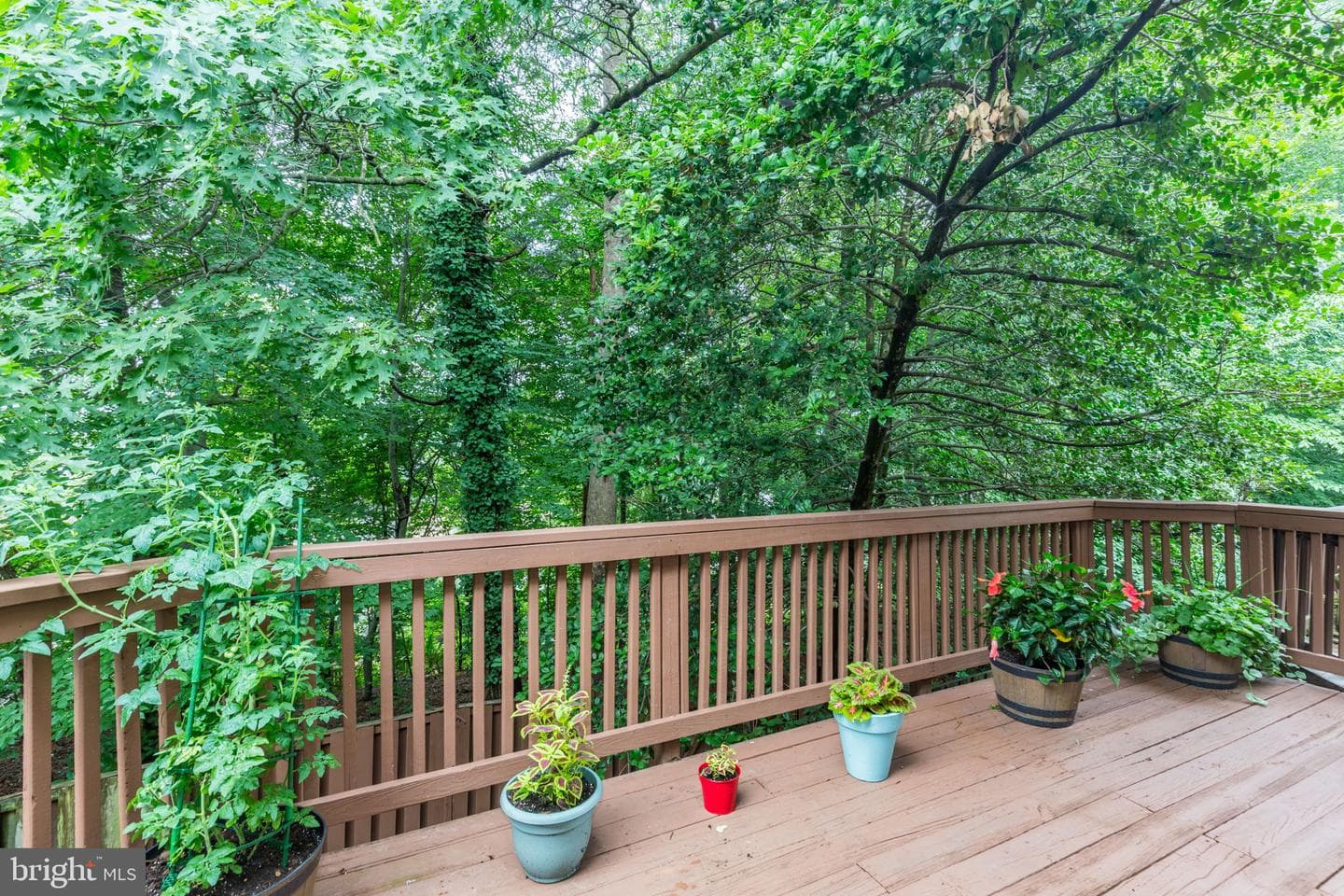 14523 Cambridge Circle photo 14
