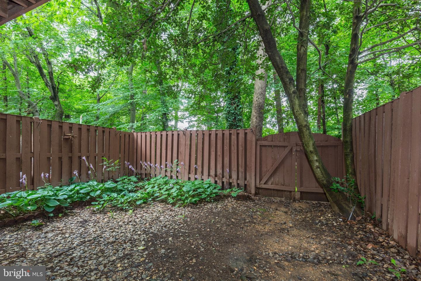 14523 Cambridge Circle photo 45