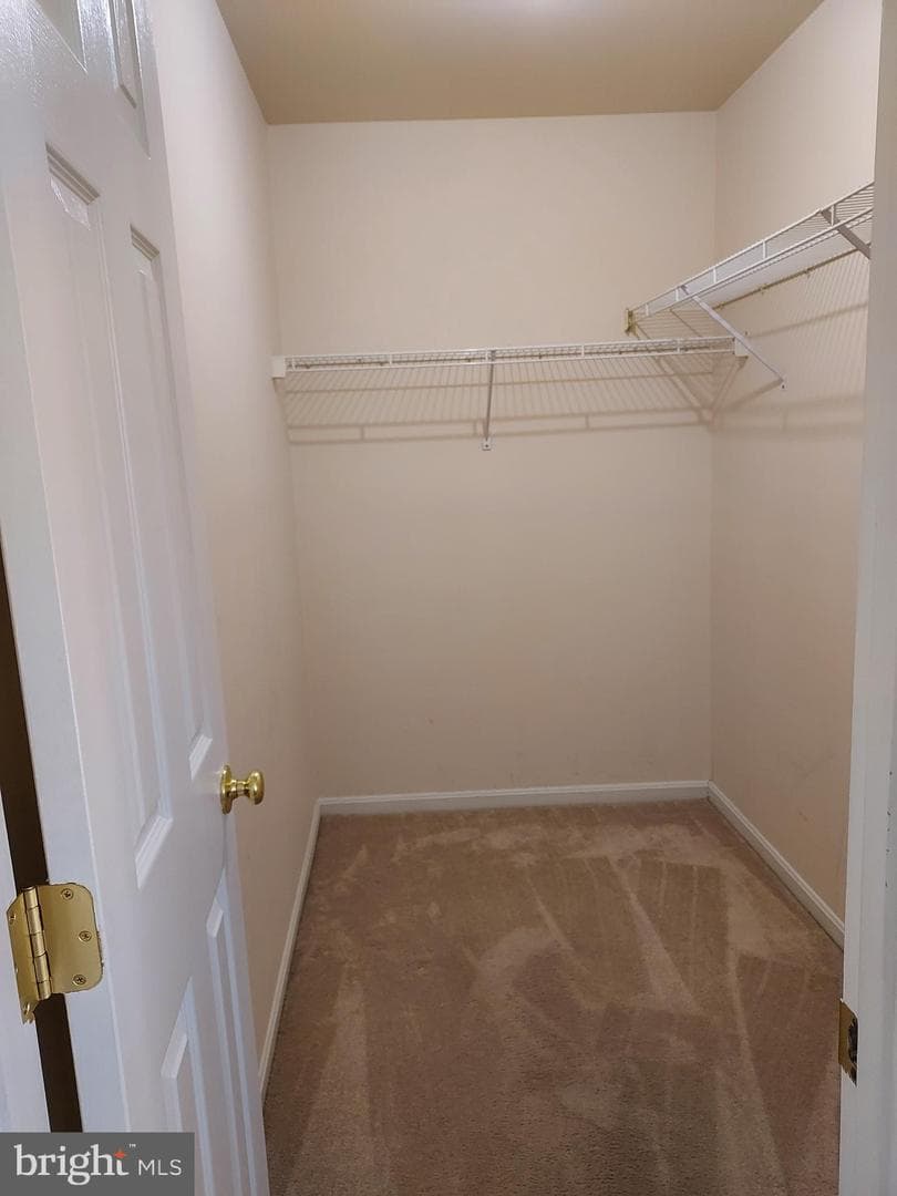2922 Buckthorn Court photo 24