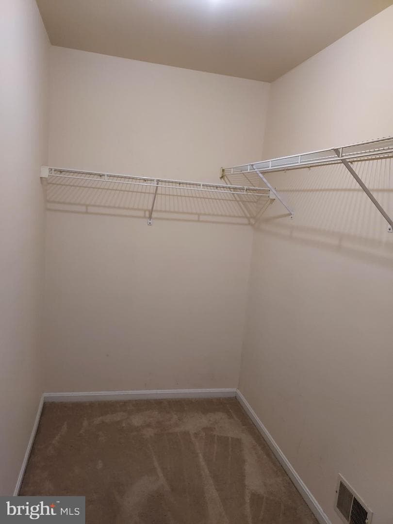 2922 Buckthorn Court photo 25