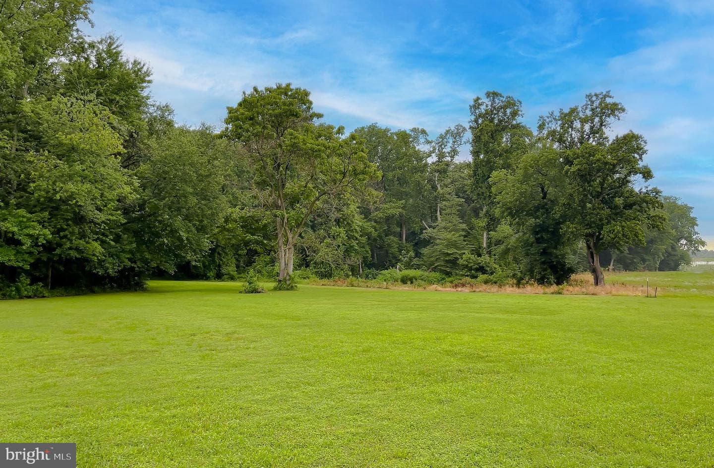 10521 Tippett Road photo 13