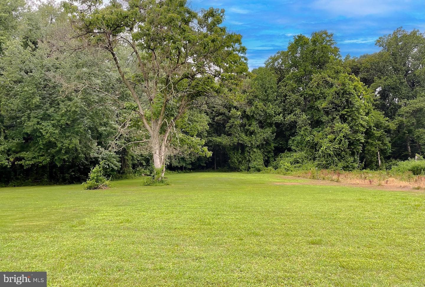 10521 Tippett Road photo 15