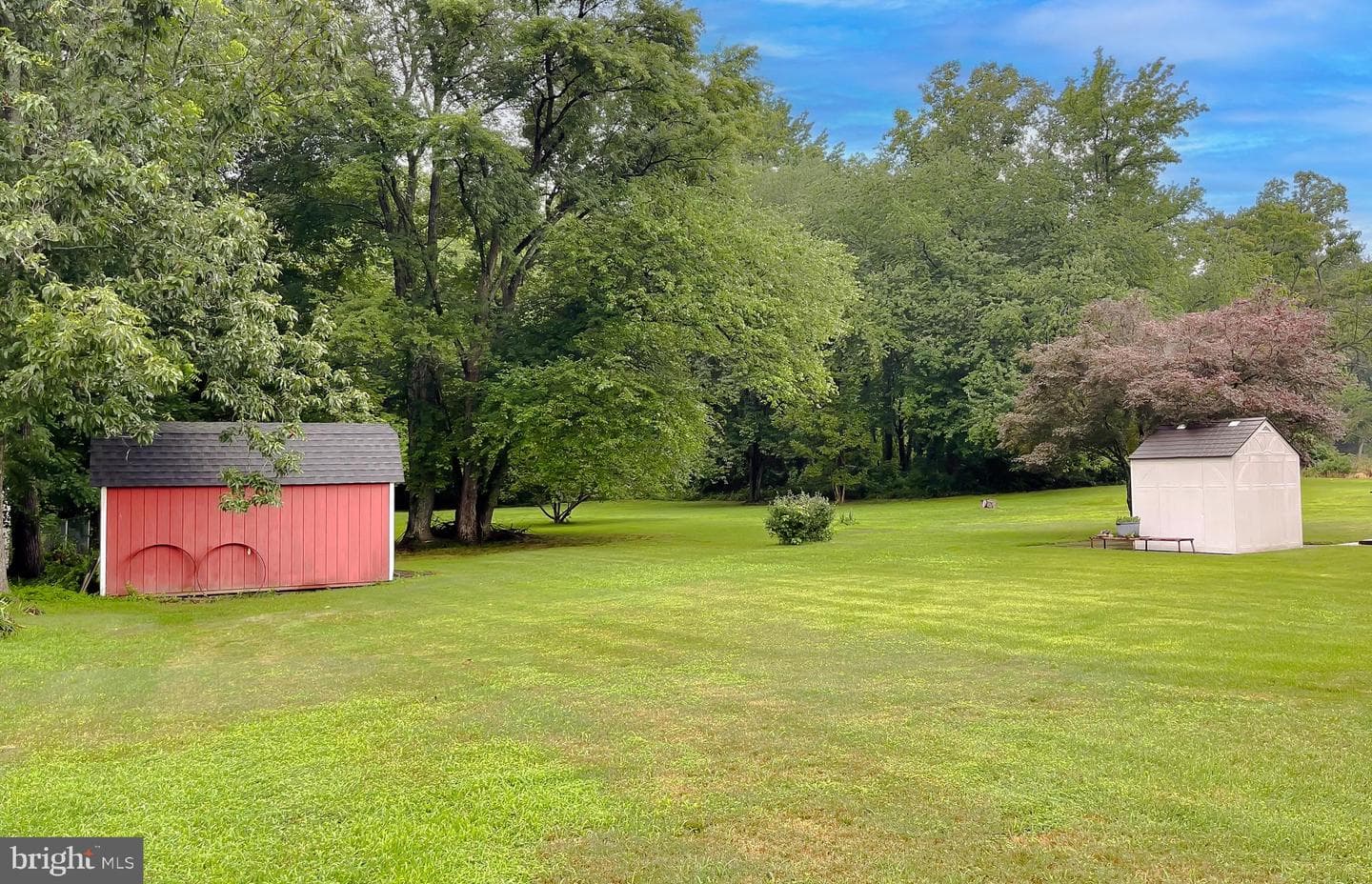 10521 Tippett Road photo 20