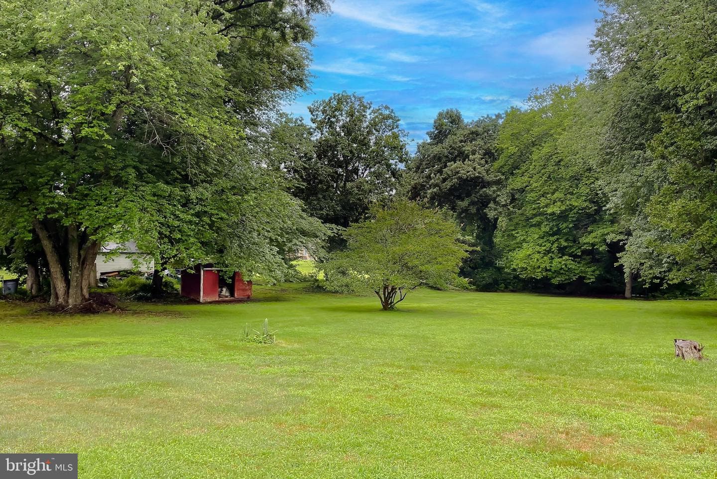 10521 Tippett Road photo 57