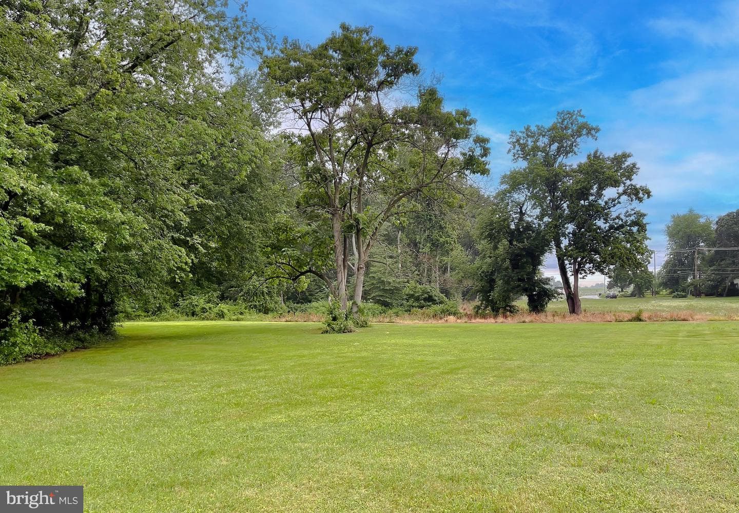 10521 Tippett Road photo 58