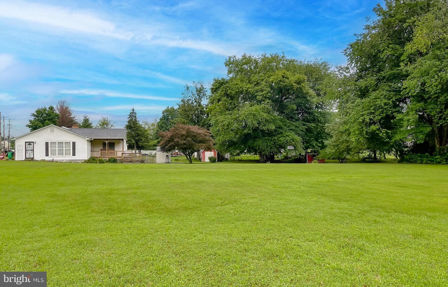 10521 Tippett Road photo 59