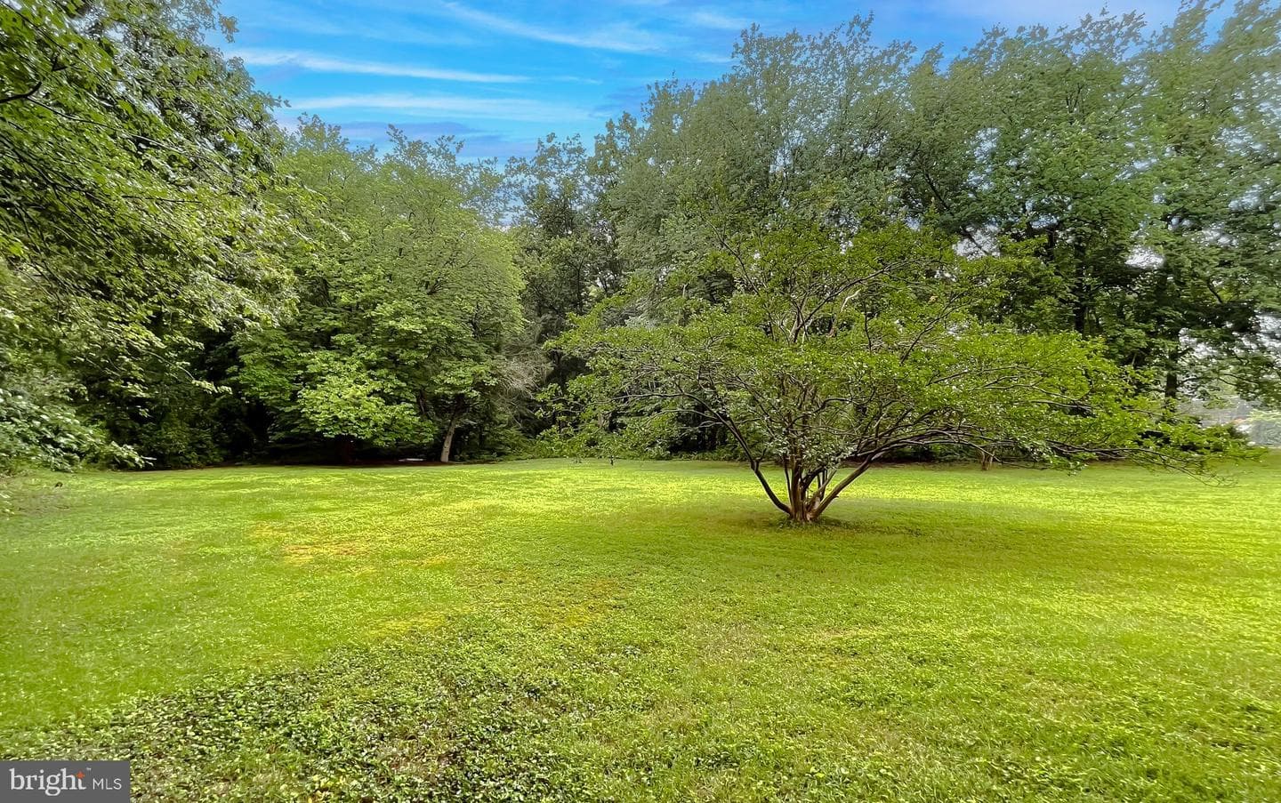 10521 Tippett Road photo 60