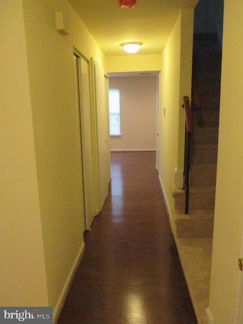 1547 Karen Boulevard photo 9