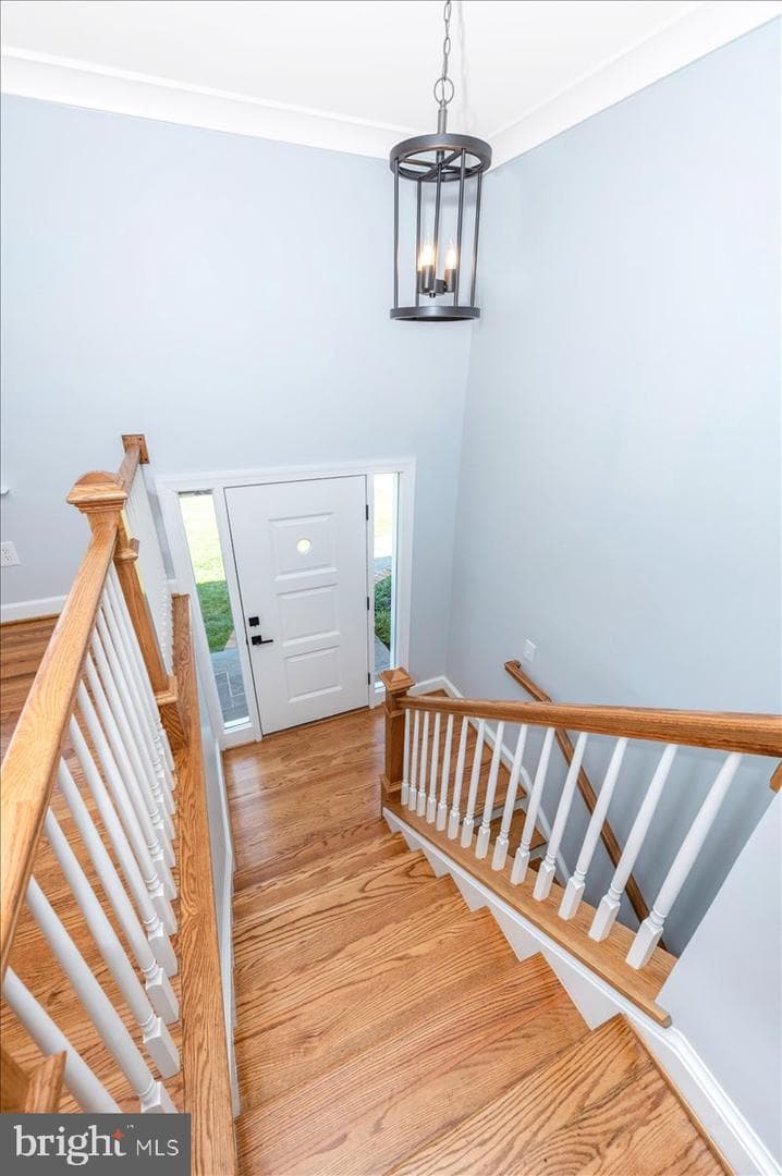 5606 Lansing Drive photo 3