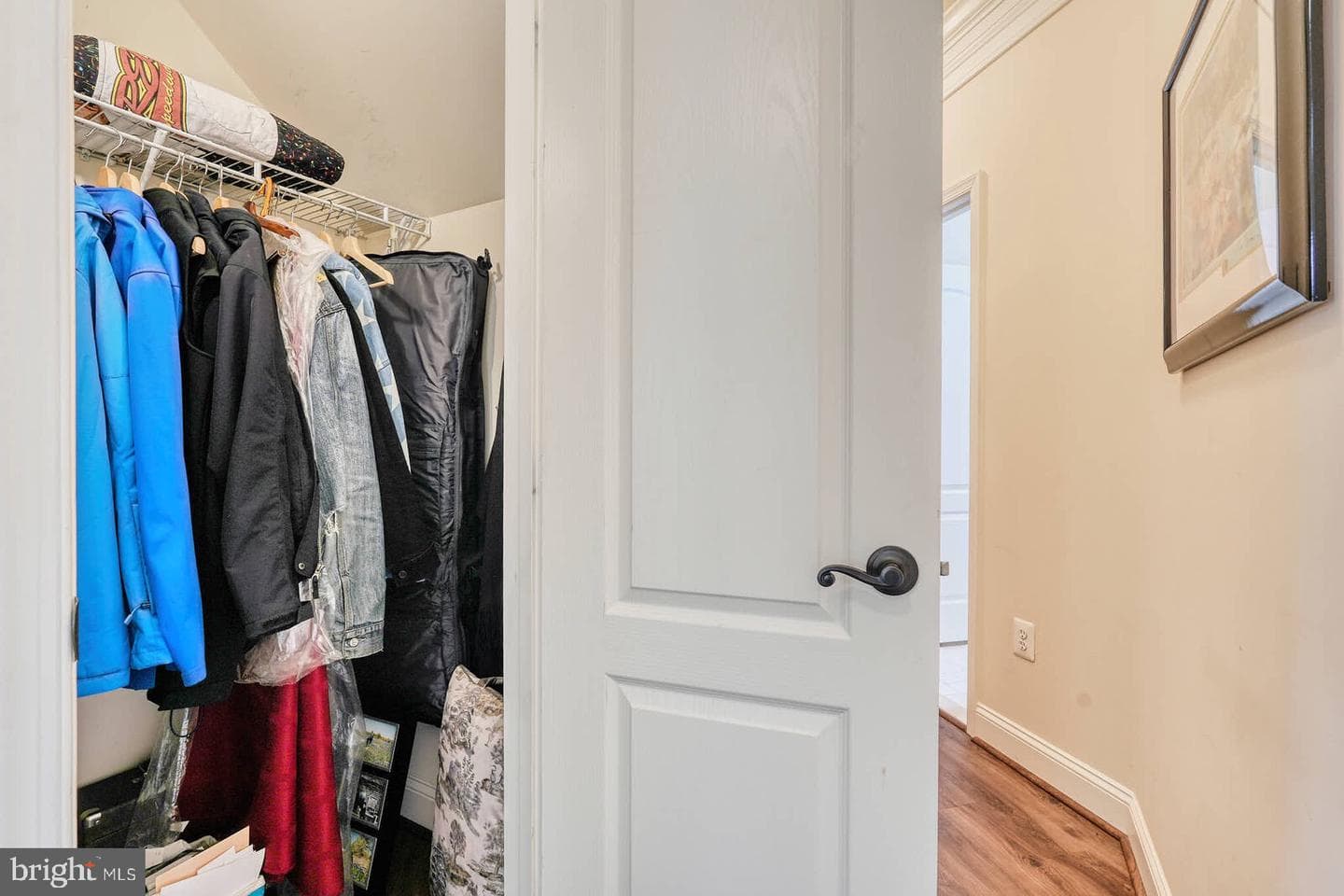 7316 Bramblebush Terrace photo 20