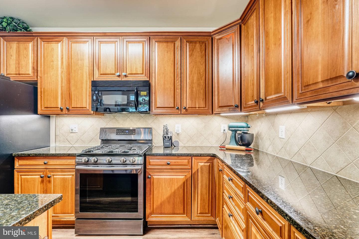 7316 Bramblebush Terrace photo 25
