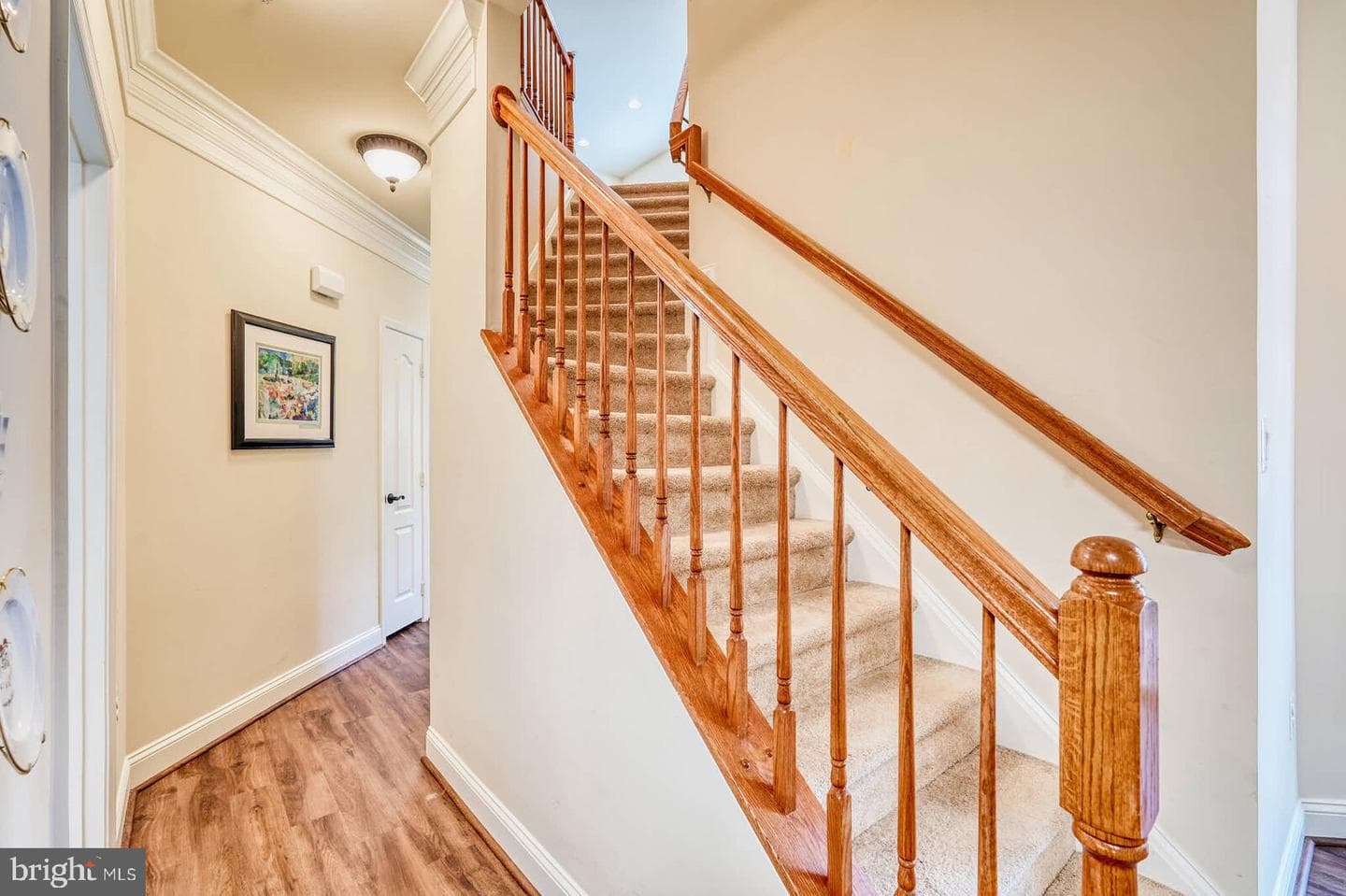 7316 Bramblebush Terrace photo 30
