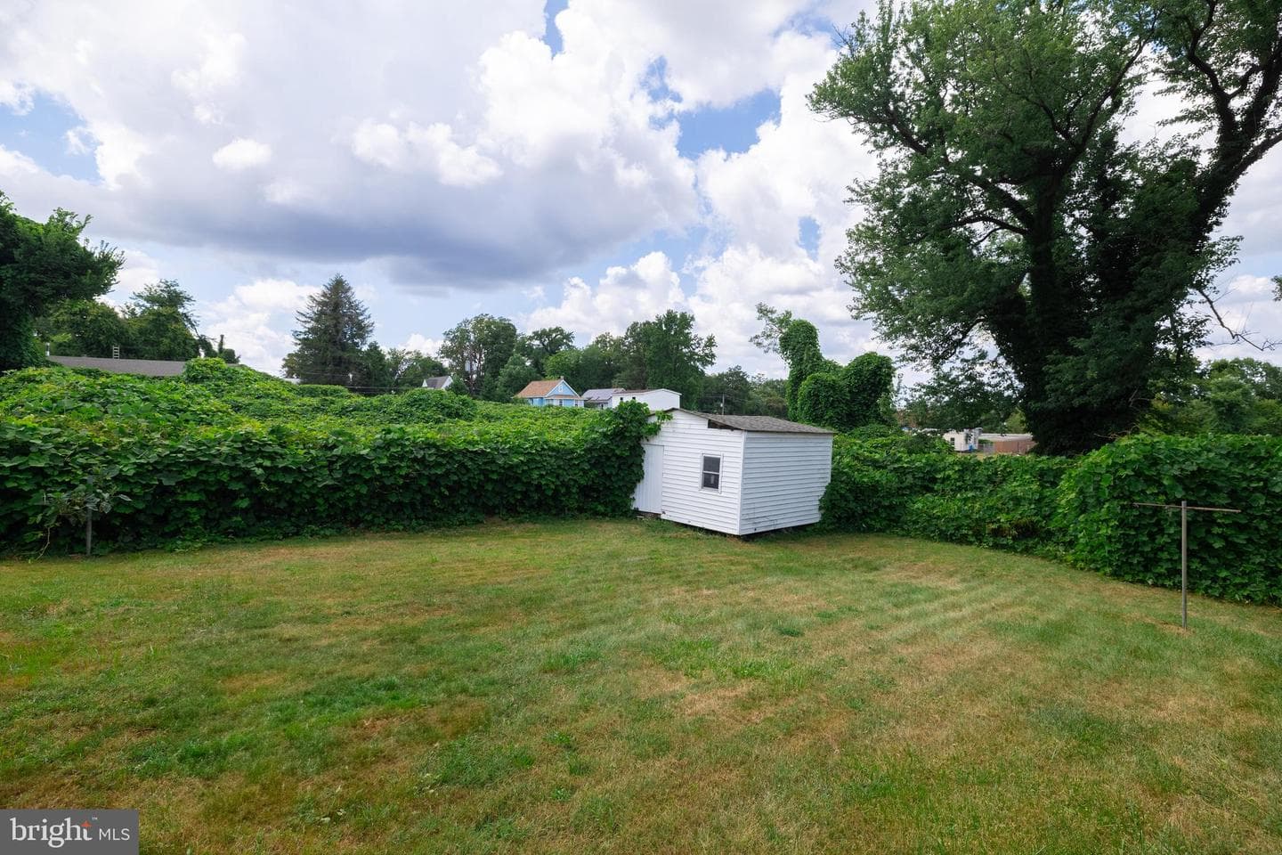 6100 Elder Street photo 16